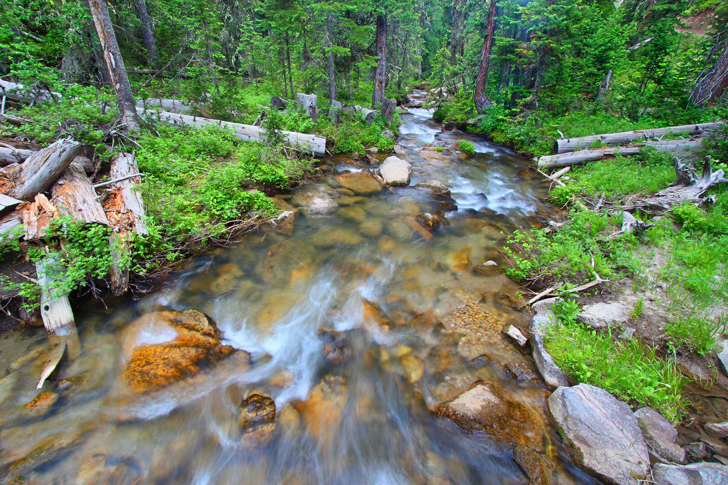 Big-Tepee-Creek-in-Wyoming-Bighorn-National-Forest
