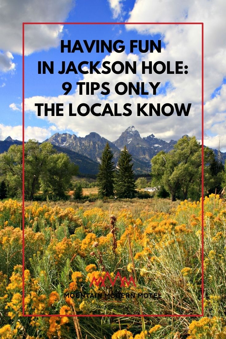 Fall foliage in front of Grand Tetons in Jackson Hole.