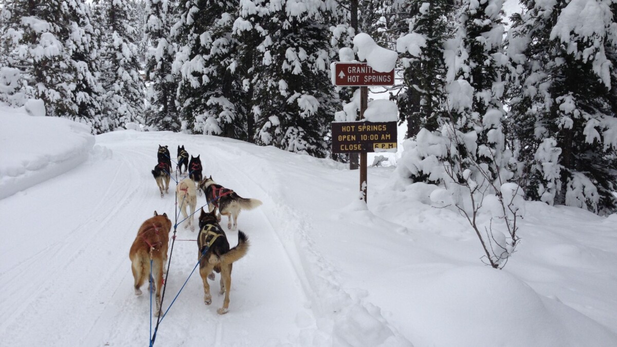 Jackson Hole Iditarod Dog Sledding Granite Hot Springs sign