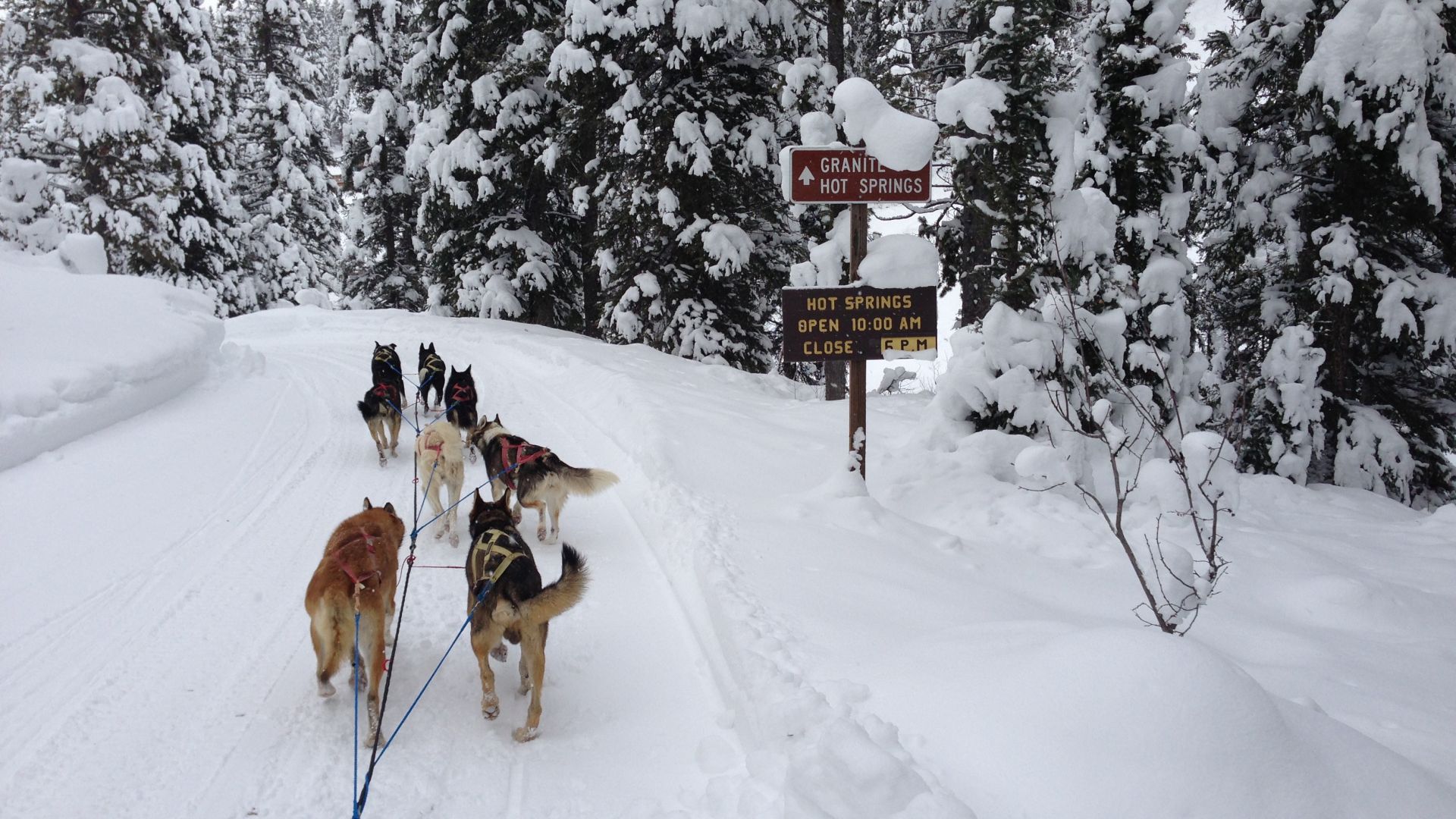 Jackson Hole Iditarod Dog Sledding Granite Hot Springs sign
