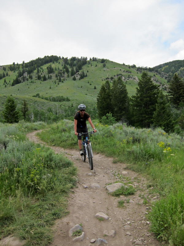 Mountain biking in Jackson Hole through meadow with trees