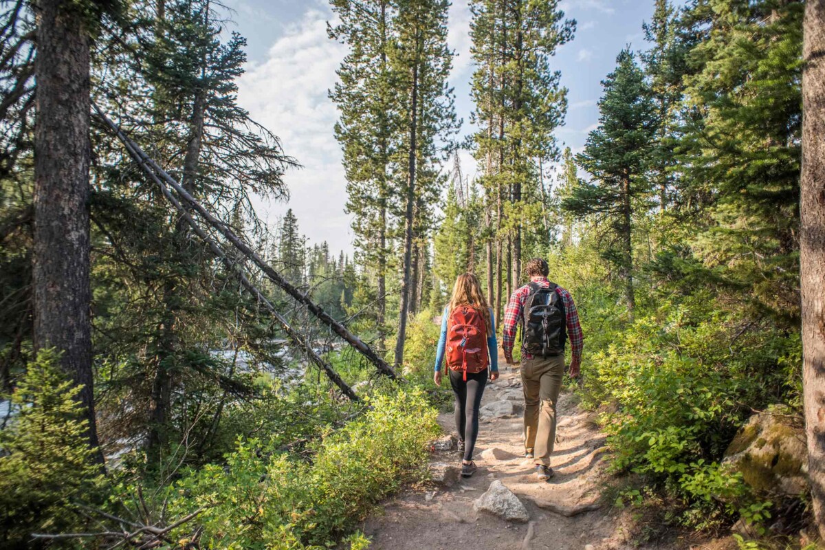 Summer Trail Hikes Jackson WY