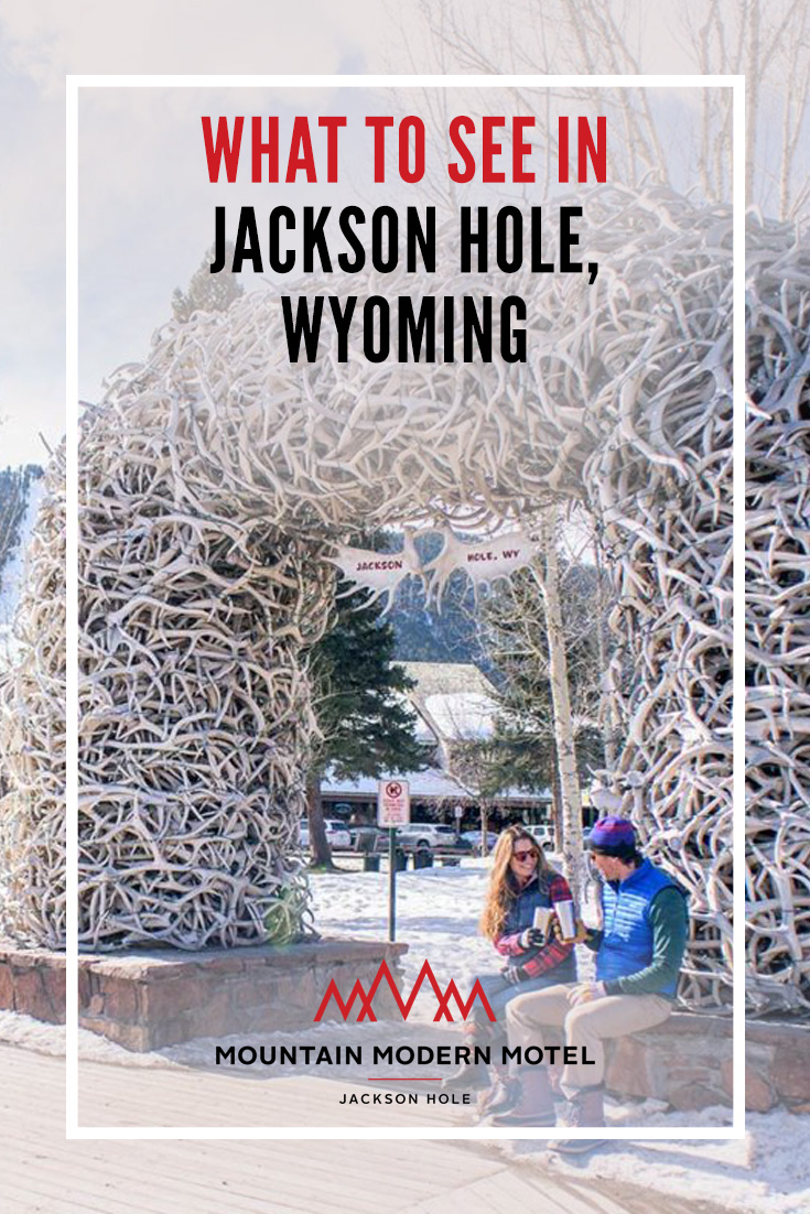What to See in Jackson Hole Wyoming