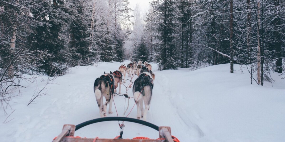 What to Do In Jackson Hole (Besides Skiing)