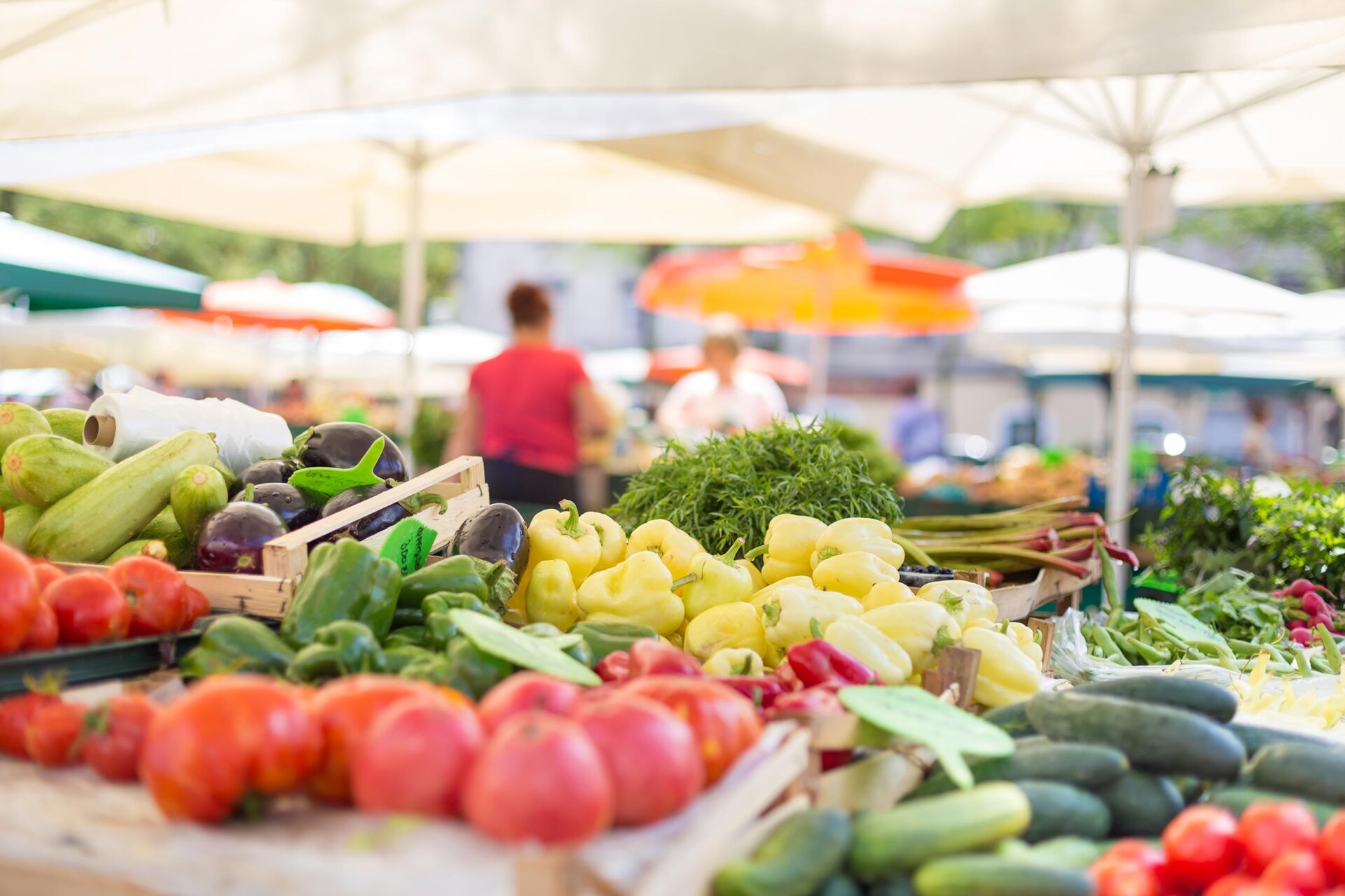 Summer People's Market