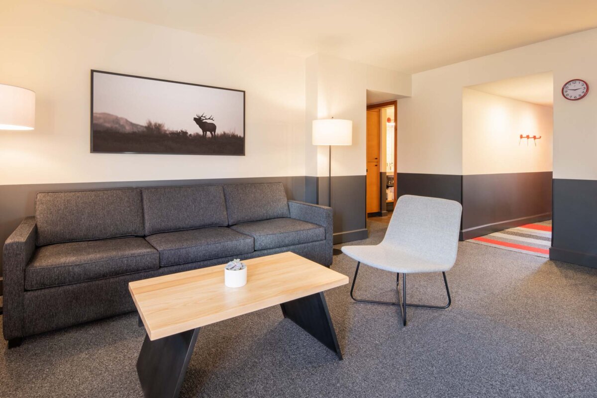 Suite Living Area & Sleeper Sofa