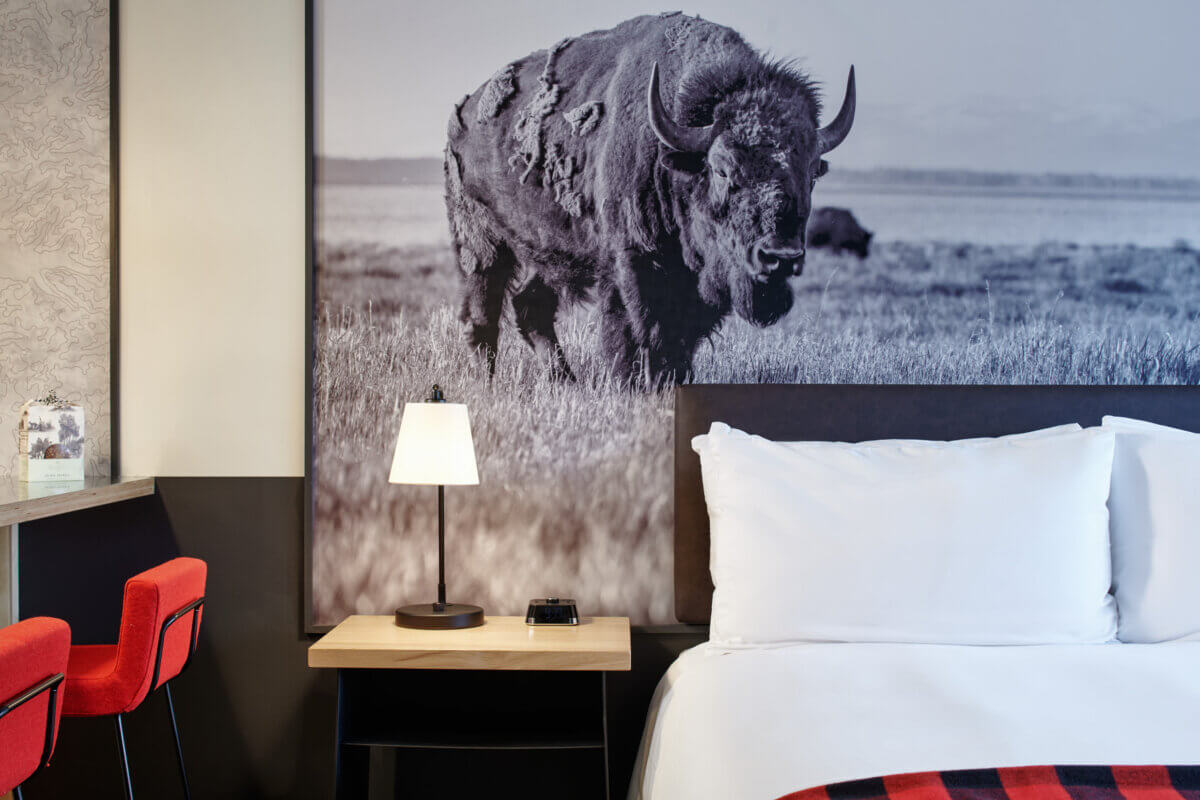 King Studio with Kitchen Side Table Bison Close Up