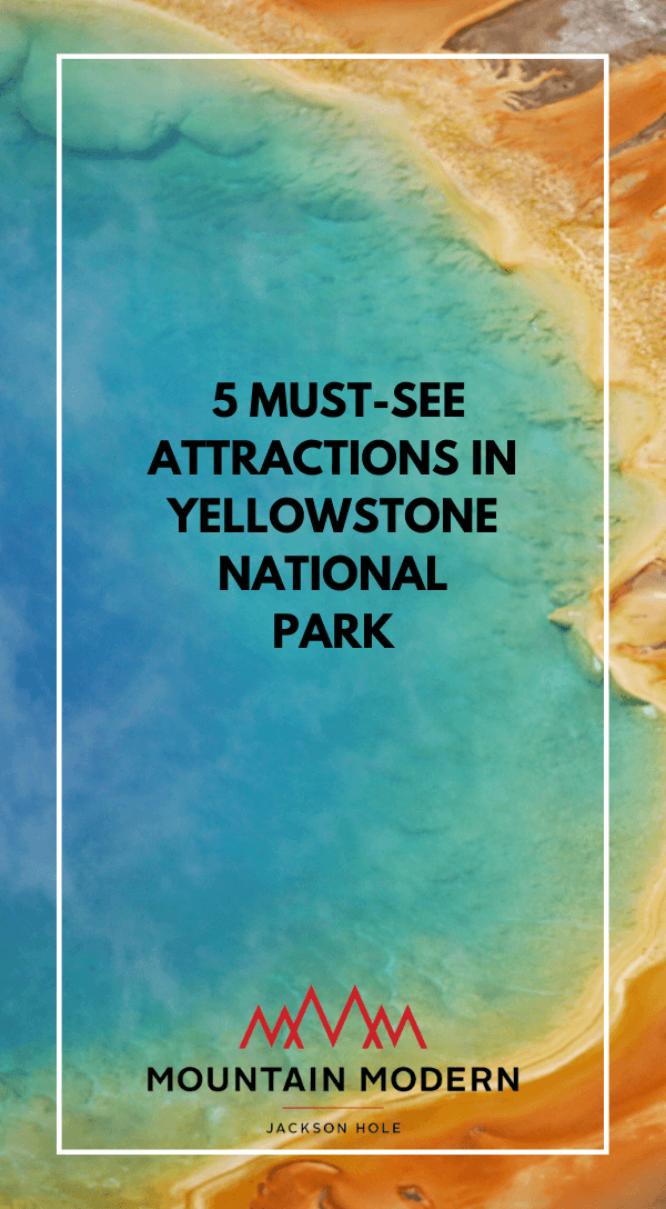 Old Faithful Geyser in Yellowstone National Park