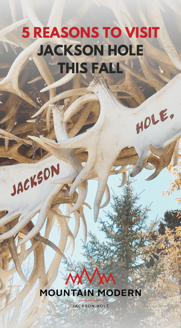 Antler arch in Jackson Hole, Wyoming 